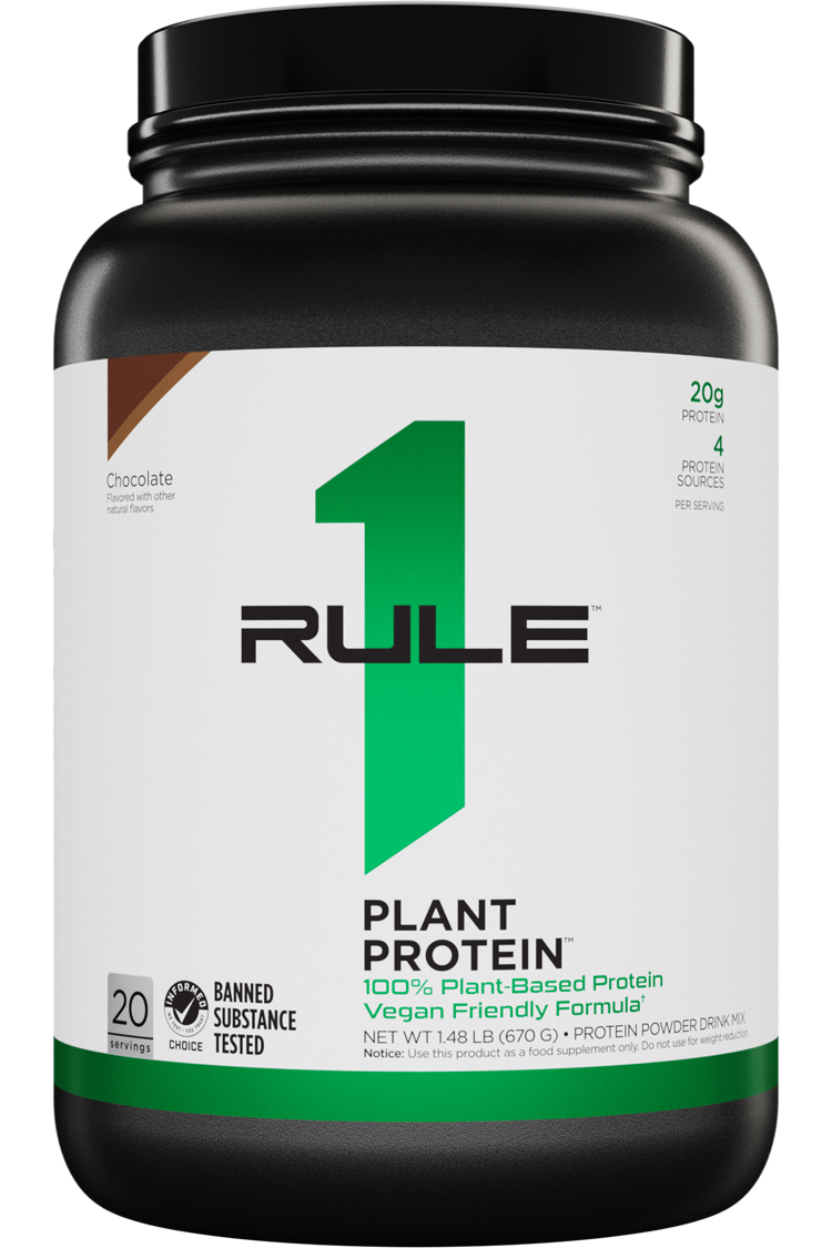 Plant Protein